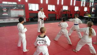 Karate lessons for kids