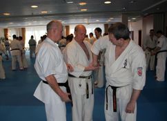 Karate seminar, Vilnius, 2013