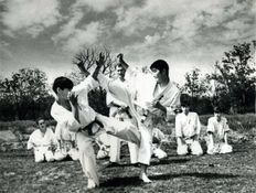 Karate lesson